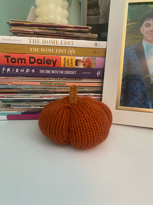 Large Chunky Knit Pumpkin